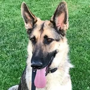 Meet your Posher, Janet